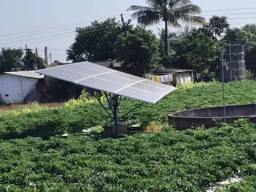 मुखपृष्ठ 50 WhatsApp Image 2025-10-11 at 13.29.20_3c32c67e