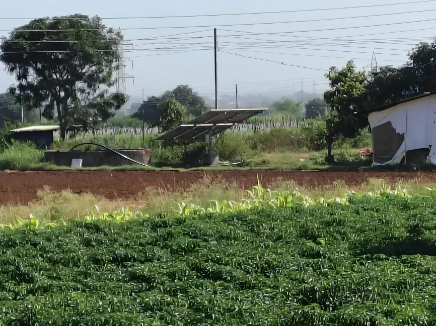 मुखपृष्ठ 52 WhatsApp Image 2025-10-11 at 13.29.20_a7a3c3b0 - Copy