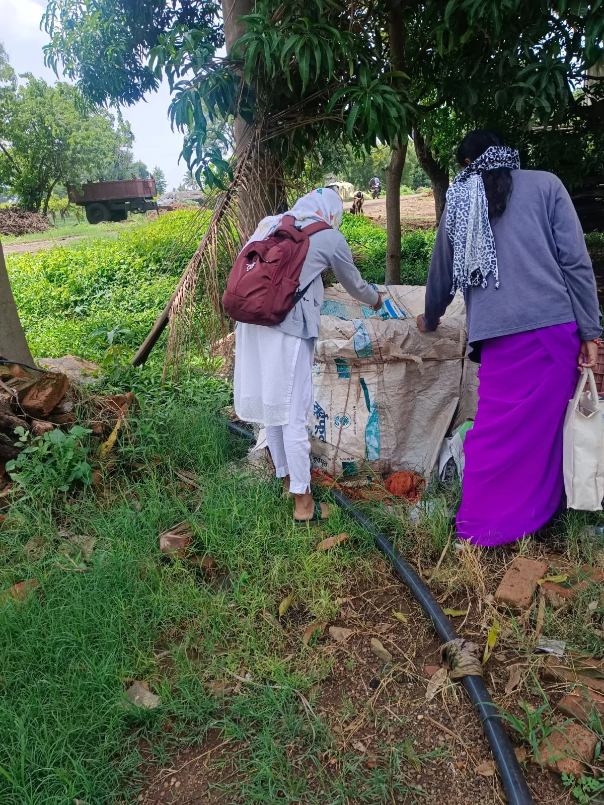 dl6lu9rjhq0nmdatjww2